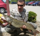 grzegorz